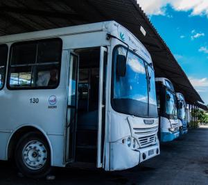 Autobuses en Cuba. Foto: Iris Mariño